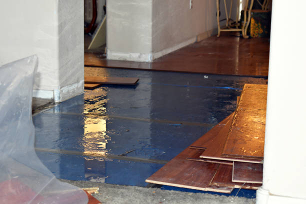 Professional Basement Flood Cleanup technician working in Evans City, PA